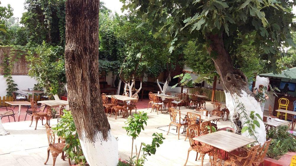 Kaliptus Hotel Kemer Exterior photo