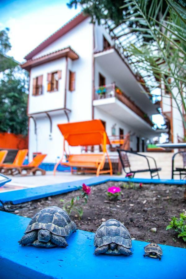 Kaliptus Hotel Kemer Exterior photo